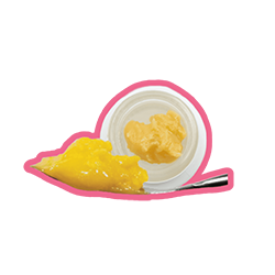 Cannabis Concentrates
