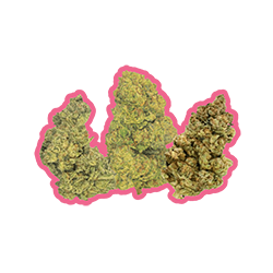 Cannabis Flower