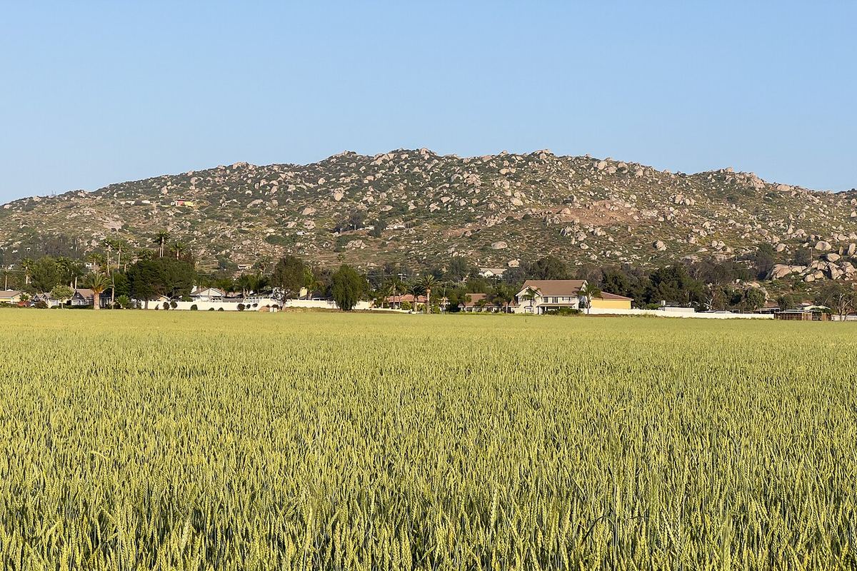 Green field in front of the Lakeview Mountains in Nuevo, California