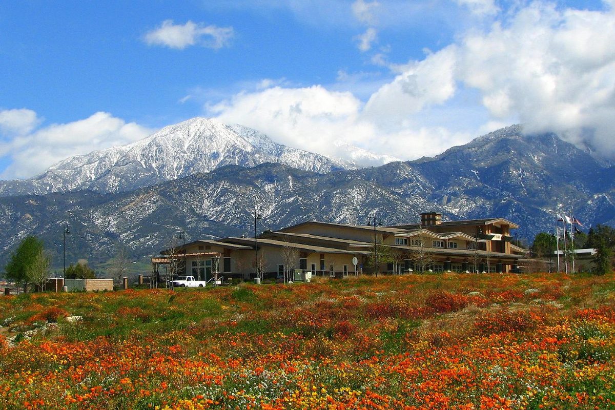 Yucaipa City Hall with snow on San Bernardino Peak behind it and wildflowers in front, in Yucaipa, California