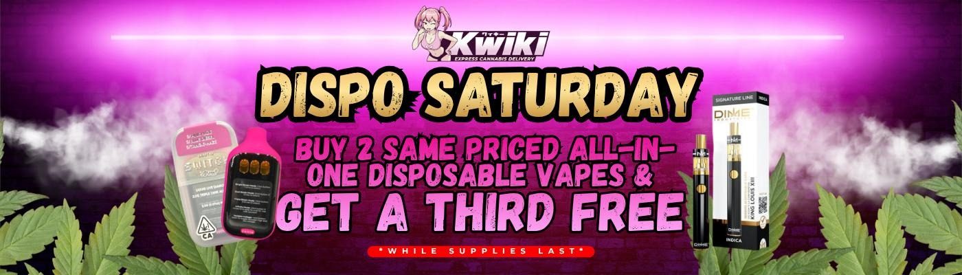 Dispo Saturday — buy 2 same-priced all-in-one disposable vapes and get a third free, while supplies last