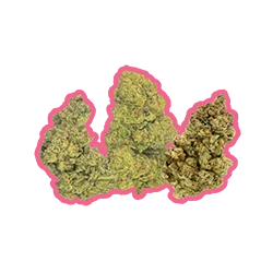 Gelato #33