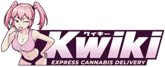 KWIKI SHOP LOGO